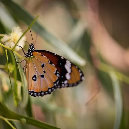 Casita Hari, Donde Tu Y Tu Tiempo Se Detienen. * Tuineje