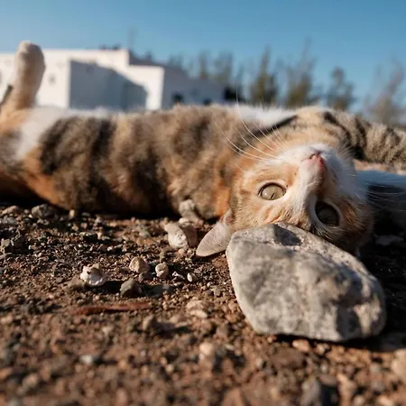 Casita Hari, Donde Tu Y Tu Tiempo Se Detienen. Διαμέρισμα