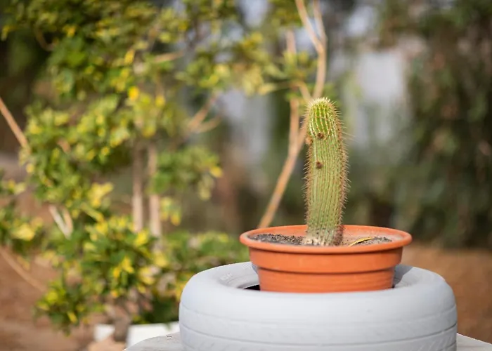 Апартаменты Casita Hari, Donde Tu Y Tu Tiempo Se Detienen. *