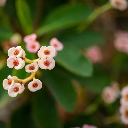 Casita Hari, Donde Tu Y Tu Tiempo Se Detienen.