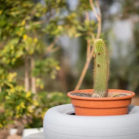 דירה Casita Hari, Donde Tu Y Tu Tiempo Se Detienen. *
