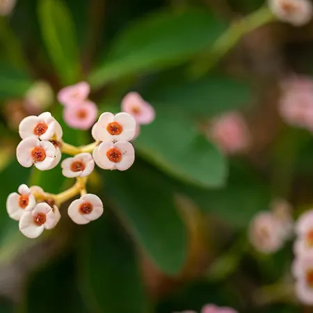 Casita Hari, Donde Tu Y Tu Tiempo Se Detienen. *