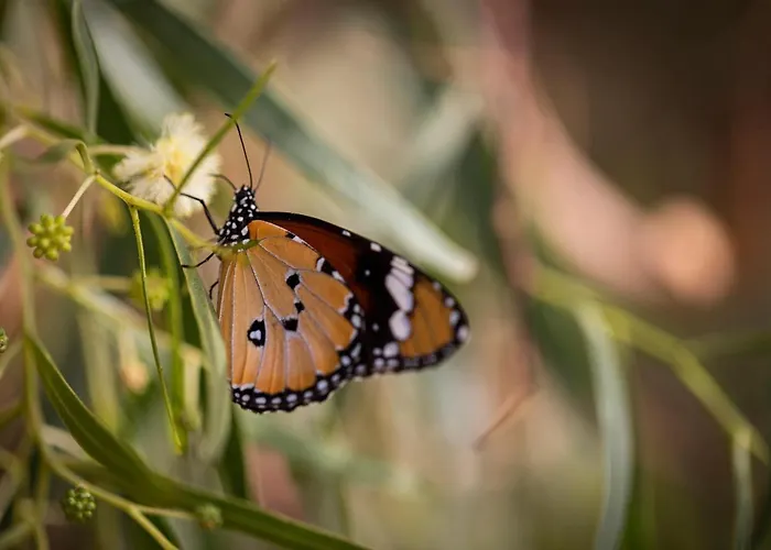 Casita Hari 아파트 Tuineje