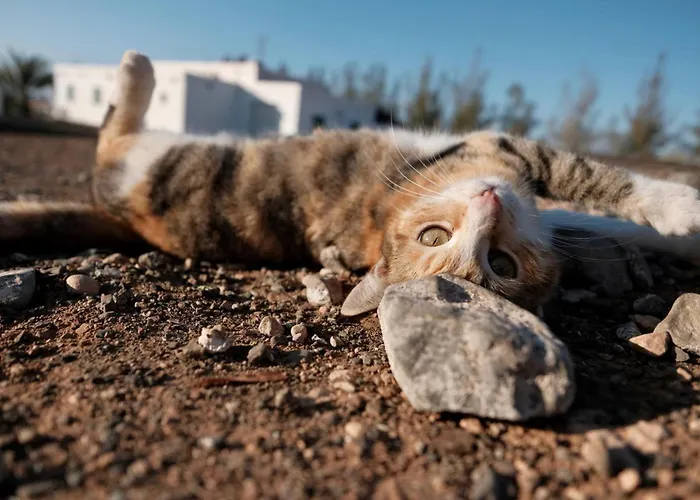 Casita Hari Апартаменты